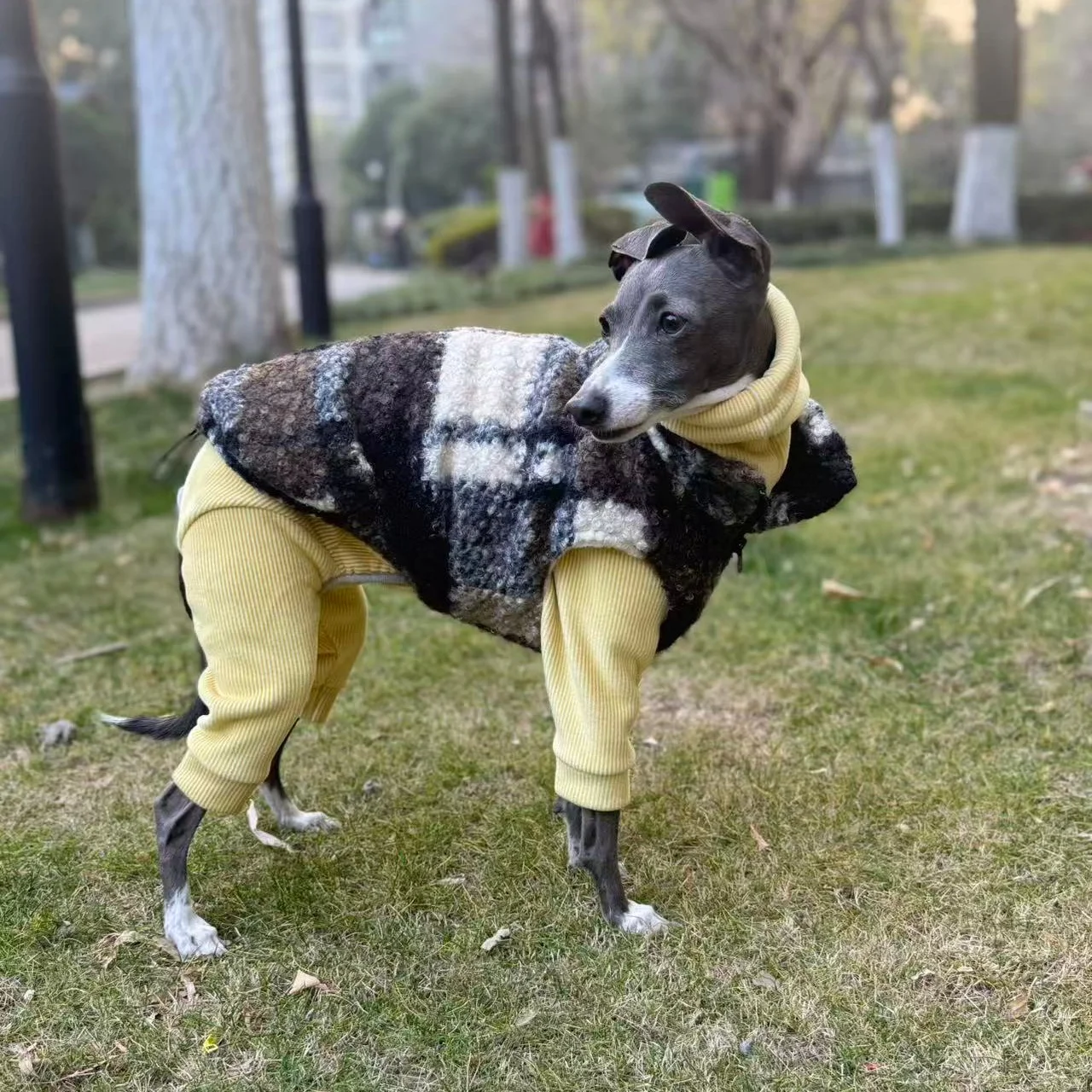 Chaleco de Forro Polar para Invierno, Traje para Galgo Italiano, Mono Ajustable Cálido para Otoño, Abrigo para Whippet, Pijama Amarillo para Perro