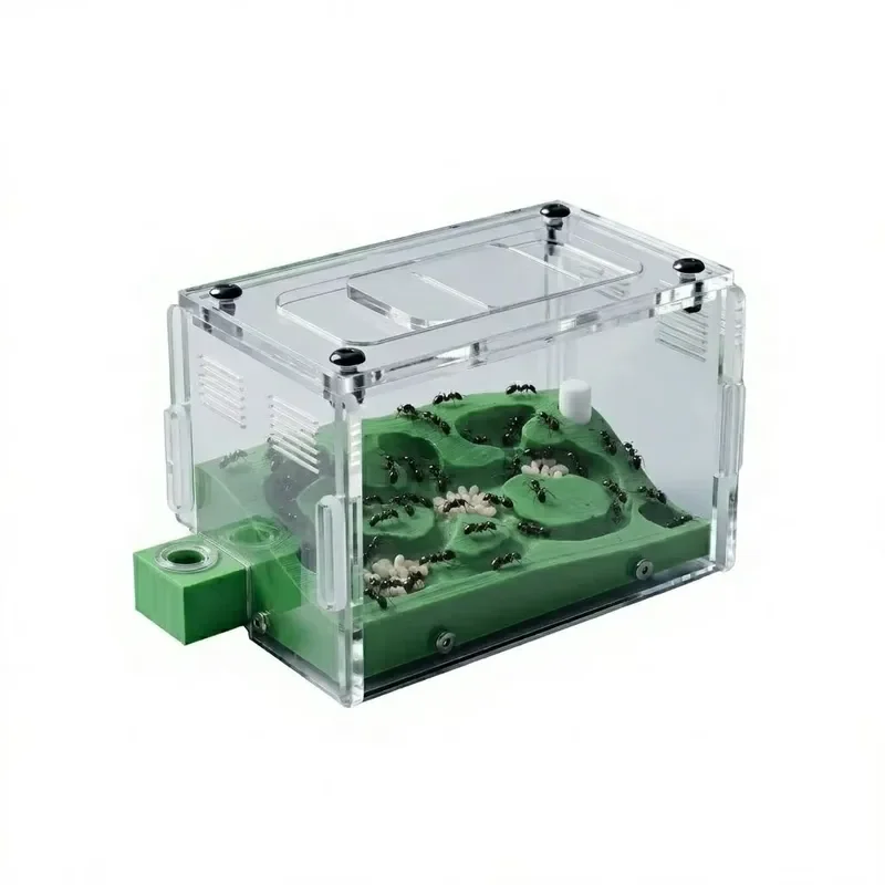 3D Printed Bionic Acrylic Ant Farm Round 360 Degree Fully Transparent Nest Box for Education Reptile Feeding Habitat