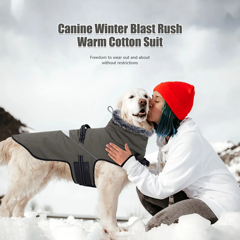 Winter Warm dog clothes High Neck Windproof Waterproof Dog Clothes Cotton Padded Jacket for Medium and Large Pets