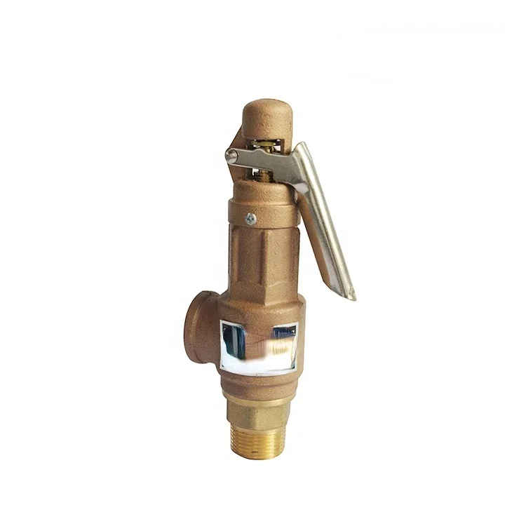 DN50 2 inch  Thread Brass Bronze Boiler Steam Safety Relief Valve with Lever