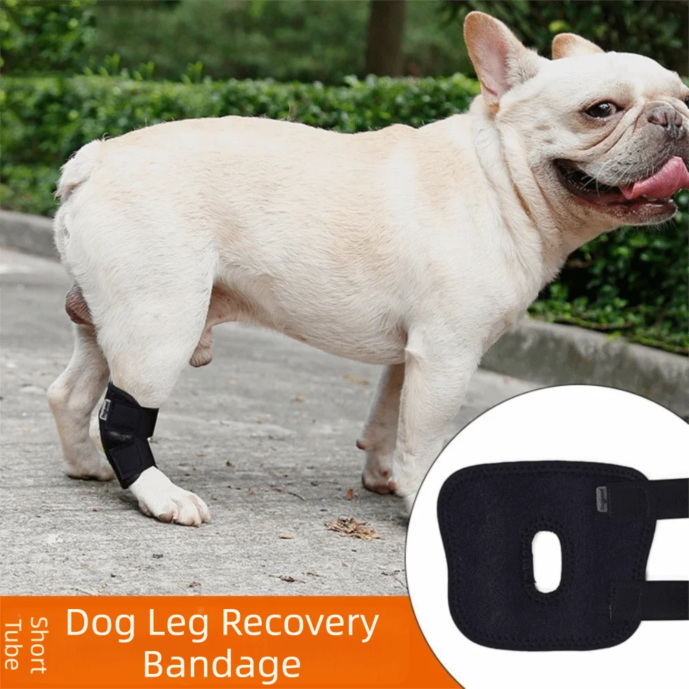 New Neoprene Pet Knee Pads Black Breathable Dog Leg Support Care Tools Protects Bandage Wrap Pet Supplies