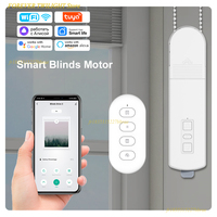 Tuya Smart WiFi Roller Curtain Motor DIY Motorized Chain Roller Blinds Shade Shutter Drive With Remote Alexa Google Home Alice