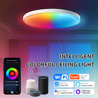 85-265V Tuya Smart Ceiling Light WiFi Bluetooth 24W RGB Circular Ambient Lamp Remote APP Control Work with Alexa Google Home