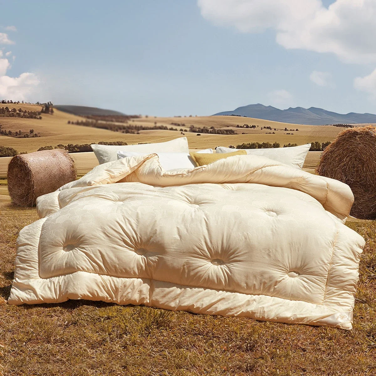 Australian wool thickened winter quilt Class A bacteriostatic warm quilt core bedding