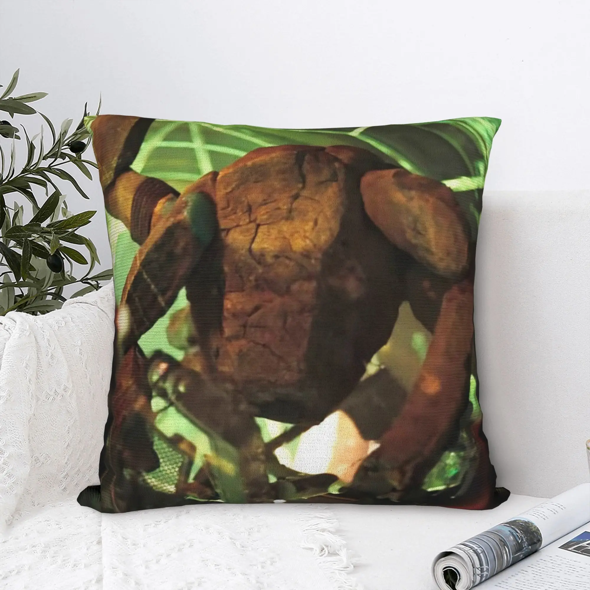 Project Hail Mary Pillowcase Polyester Cushion Cover Decoration Ryland Grace Rockys Pillow Case Cover Home Zippered 40X40cm