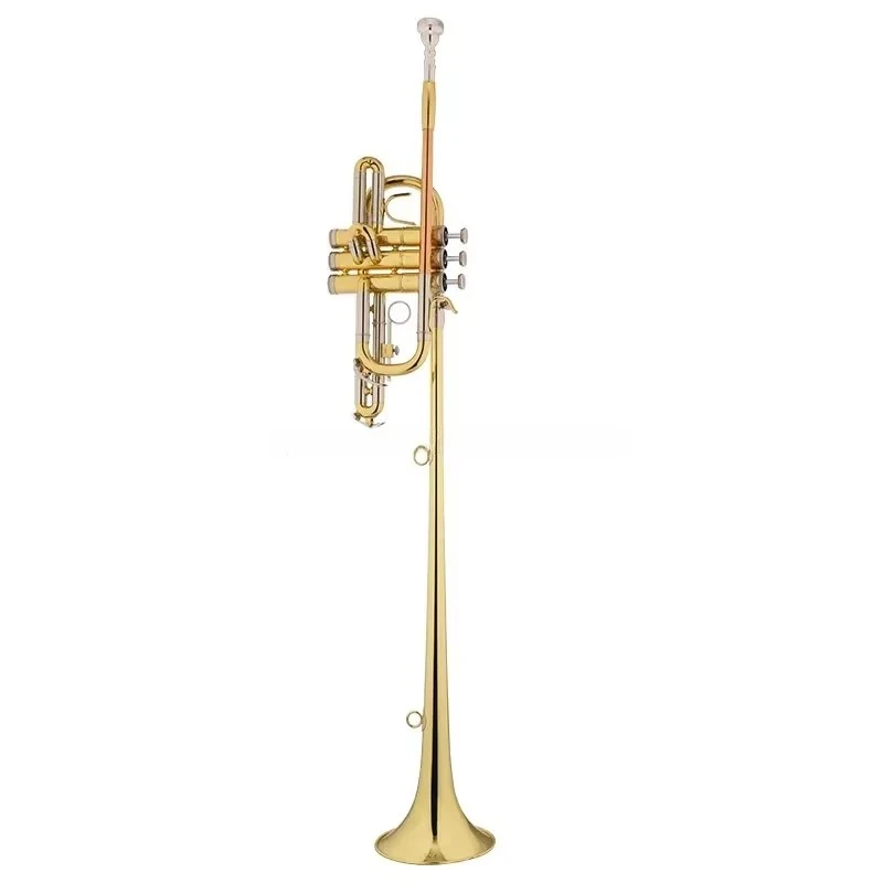 

High Grade Bb Tone 3 Pistons Yellow Brass Body Herald Trumpet