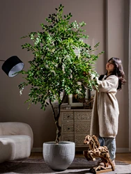 Luxury Large Simulation Elm Tree Banyan Tree Green Plant Indoor Floor Decoration High-End Light Fake Money Tree for Home Decor