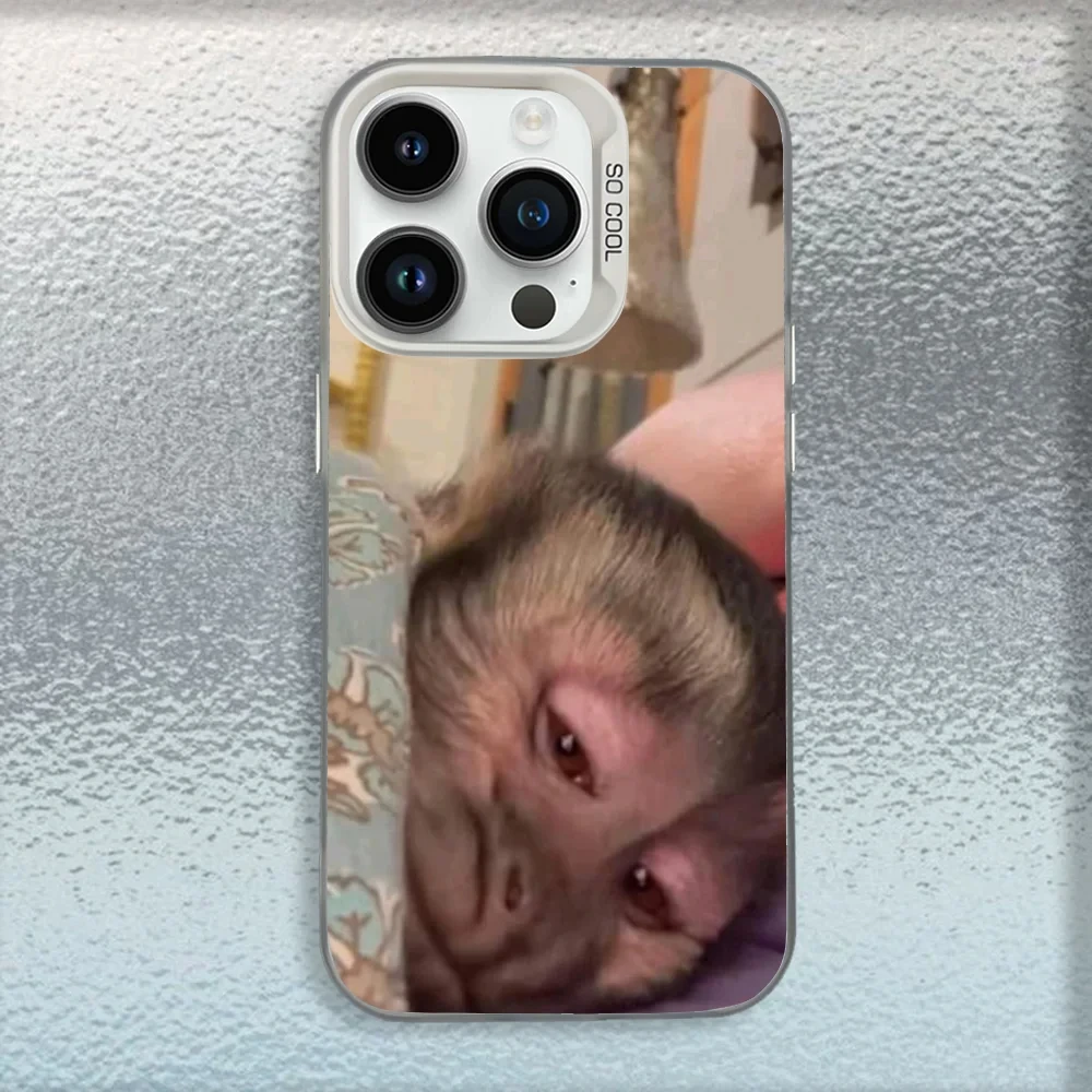 Cute Funny Monkey Phone Case For iPhone 16,15,14,13,12,11,Mini,Pro,MAX White Matte Shockproof Cover - náhled 3