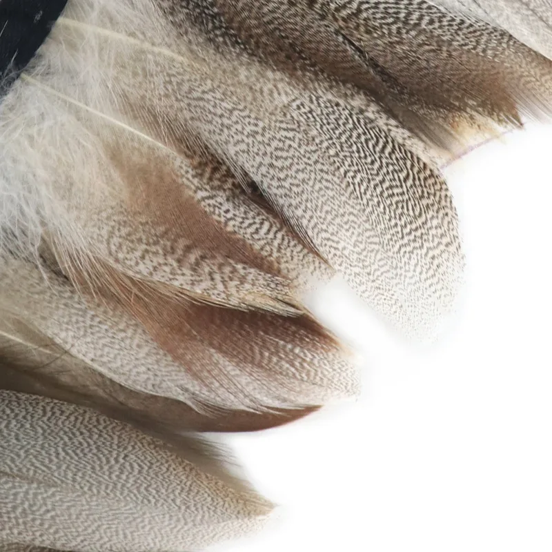 Natural Pheasant Duck Feathers 1/2Meter on Tape Trim Fringe Ribbon for Sewing Clothes Trimmings Carnaval Decoration