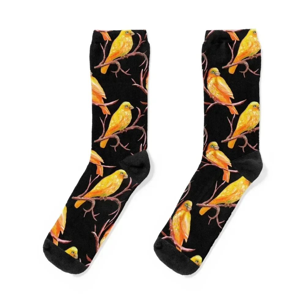 Yellow Canary Bird Pattern Socks Run Antiskid soccer Non-slip Socks Woman Men's