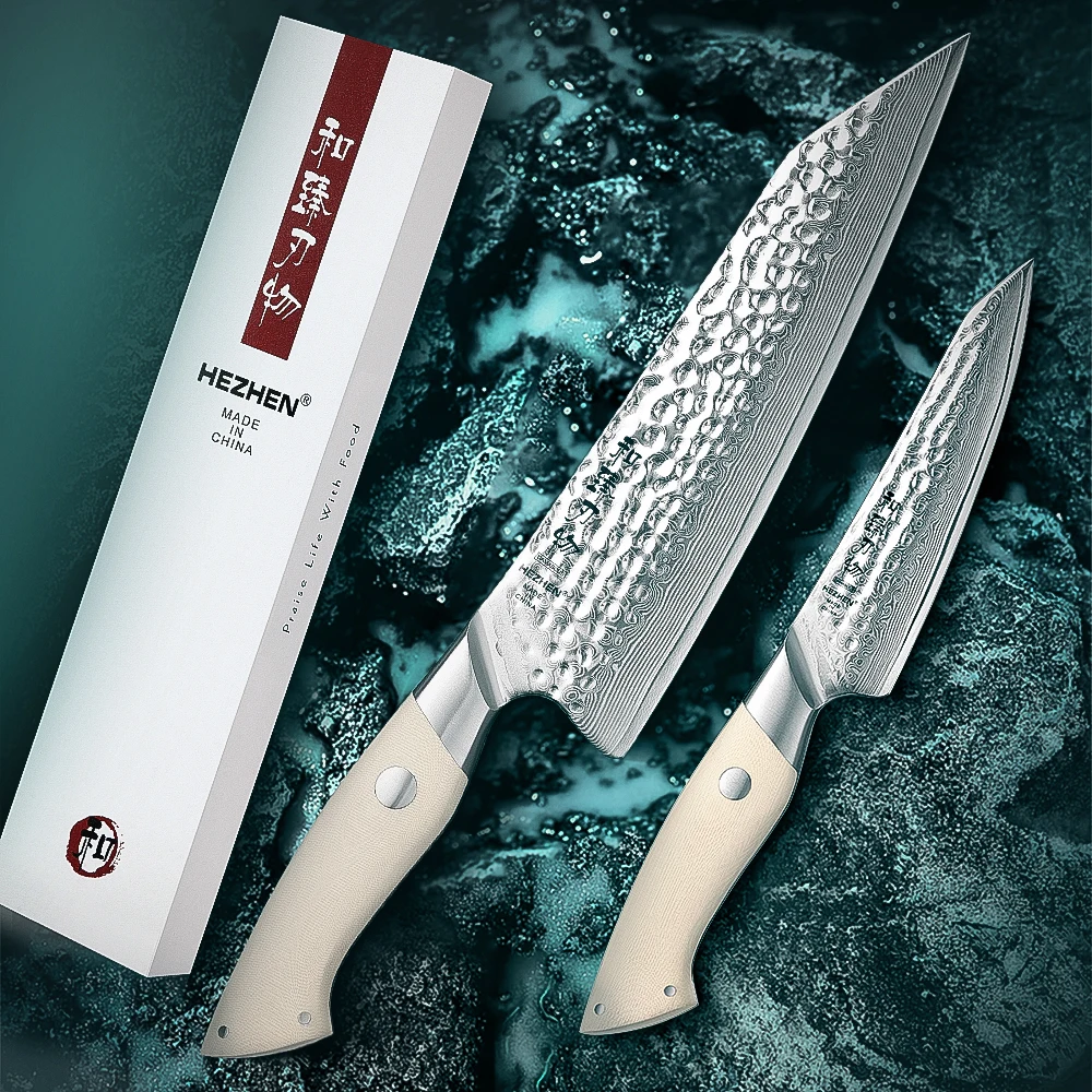 HEZHEN 2PC Kitchen Knife Set 67 Layers Composite Damascus Steel Beautiful Gift Box Chef Utility G10 Handle