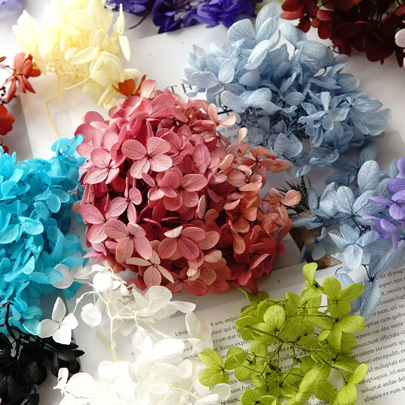 Geconserveerde Gedroogde Hortensia Ellips Bloemblaadjes Paniculata Bloemen Home Office Decor Kristallijm DIY Bloemen Geurkaarsen Materiaal
