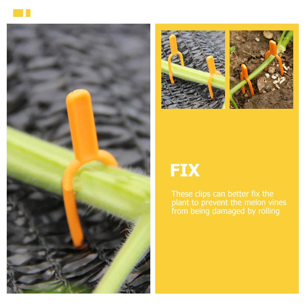 Strawberry Vine Fixator Fixing Clamps Wall Fixture Clips for Plants Plastic Forks Hook on Bed Rails