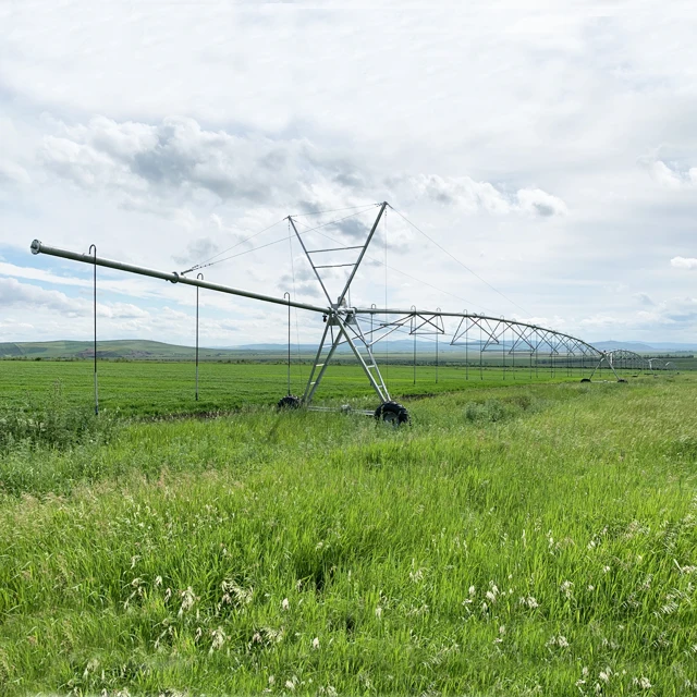 Large Scale Farm Linear Pivot Irrigator System Lateral Move Pivot Irrigation Equipment