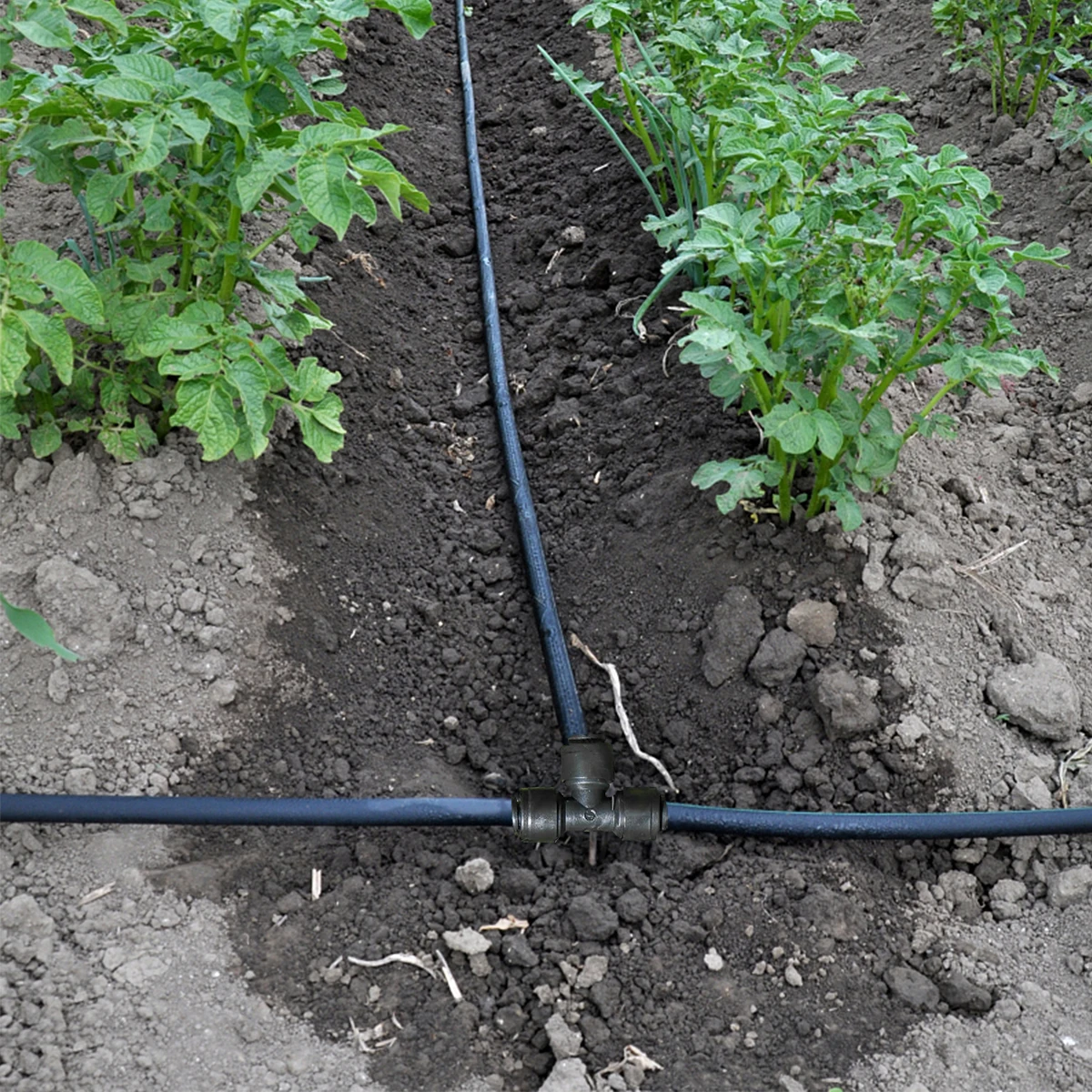 

15Pcs 1/4-Inch Drip Irrigation Tee Connectors Essential Sprinkler Irrigation Fittings for Efficient Watering