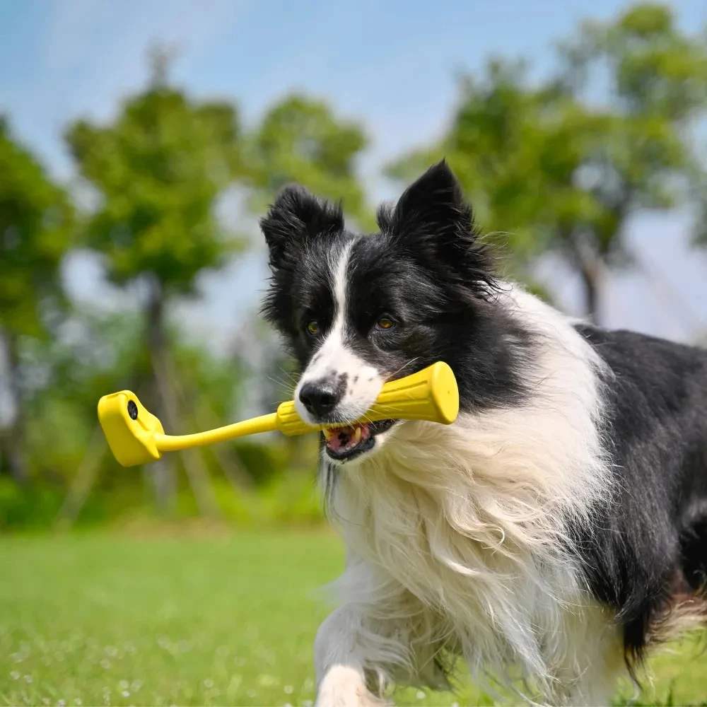 Insta360 GO 3\\Go 3s Fetch Stick For Pet and Dog Original Accessories For Insta 360 GO3\\Go3s