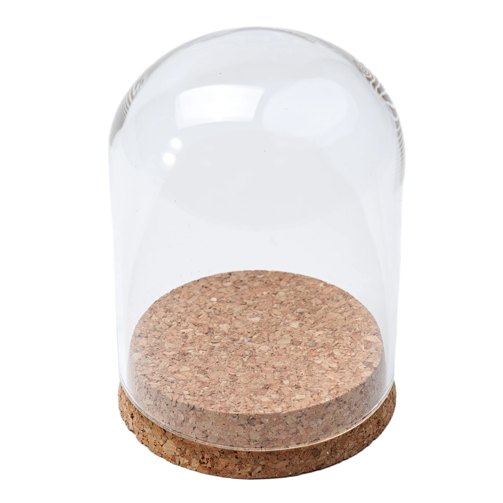 8/10/12cm Modern Handcraft Glass Dome Cover Dry Flower Vase With Wood Cork Base Landcrape Figurines Model Display Artworks DIY