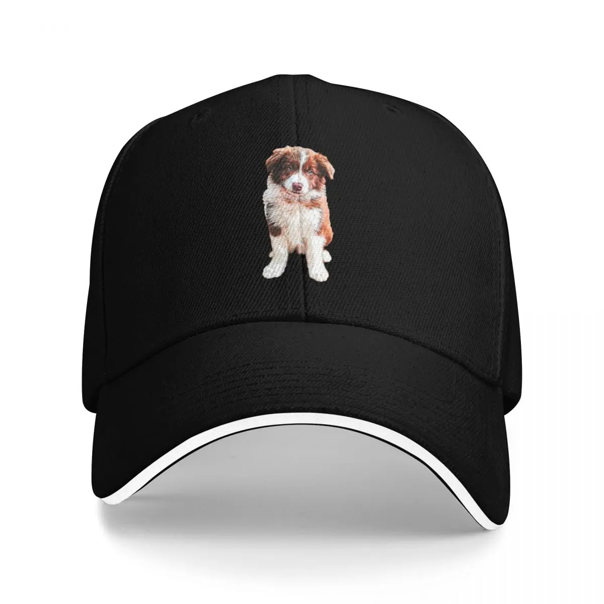 Border Collie lindo cachorro de chocolate perro gorra de béisbol gorra de caballo sombrero de mujer sombreros para el sol hombres
