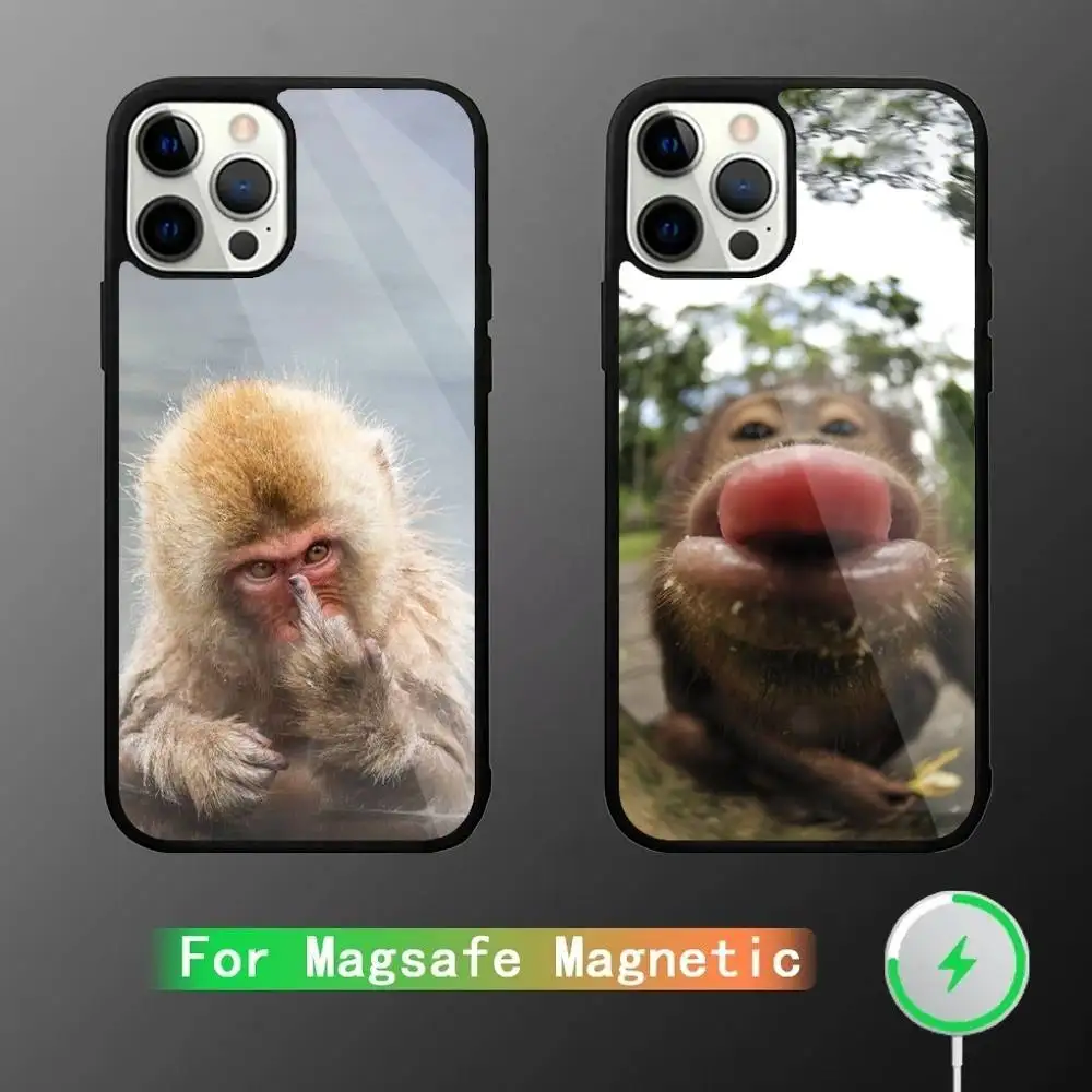 

Cute Funny Monkey Phone Case For iPhone 17,16,15,14,13,12,11,Pro,Max,Plus,Mini,SE4,E Magnetic Magsafe Wireless Charging