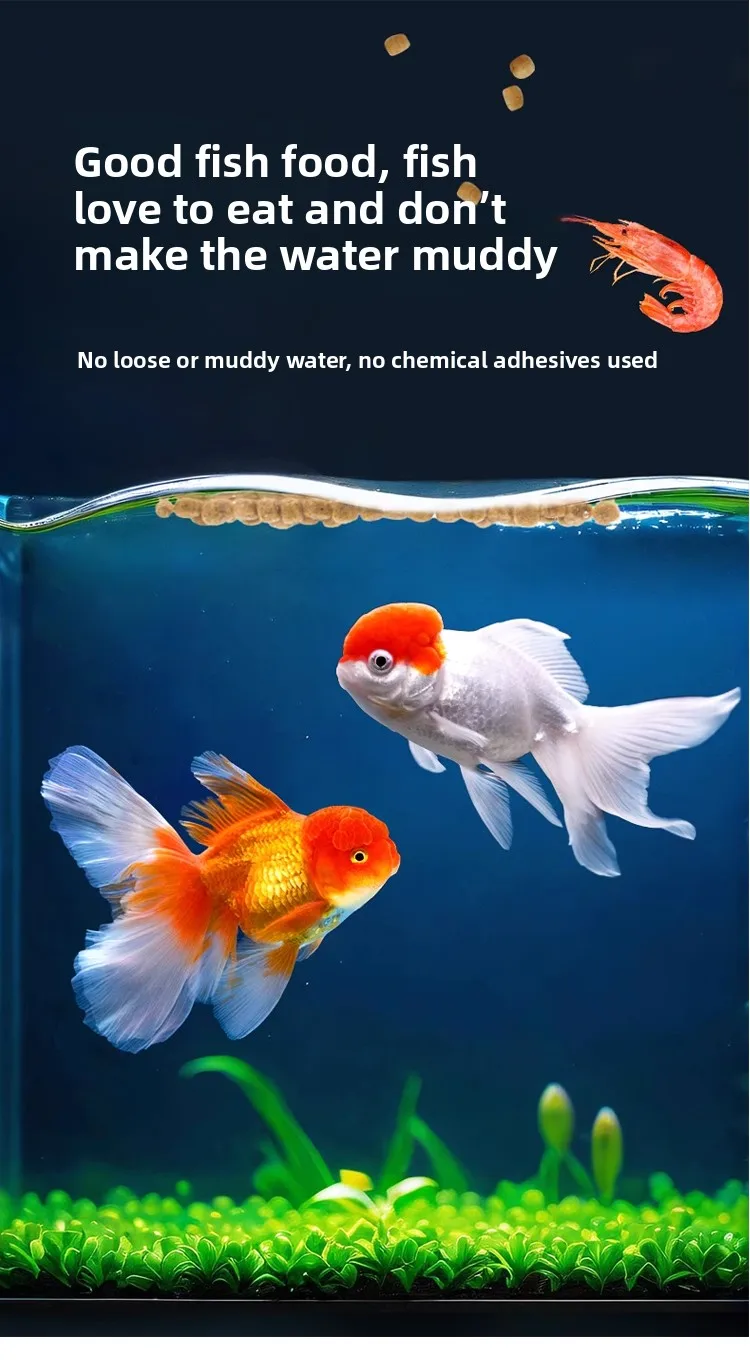 AMF Universal Small Fish Food - Slow-Sinking & Floating Micro Pellets for Zebrafish, Guppy, Angelfish, Tetra & All Nano Fish view 6