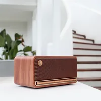 Desktop Bluetooth Speaker BT 5.0 Portable Outdoor Speaker with Class D Amplifier, Support Aux TF Card USB-C Port