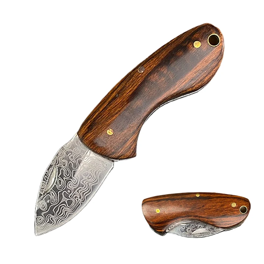 

Outdoor High-Hardness Pocket Knife, Camping Mini Portable Small Knife, Damascus Pattern Folding Knife, EDC Knife