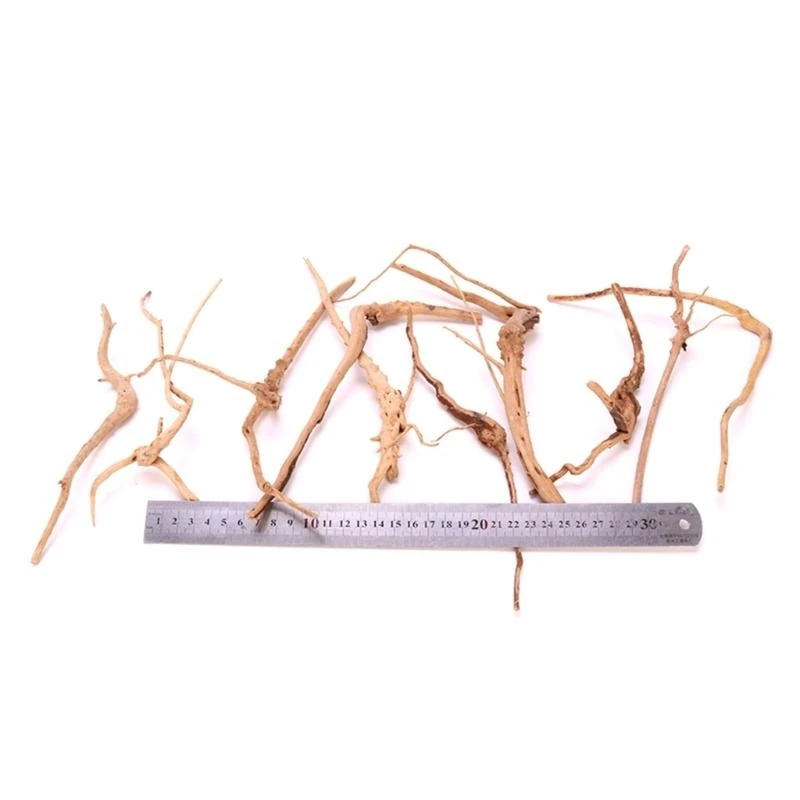 652f Delicado mini Natural Driftwood Cave Terrario Terrario Hideouts Hideouts camarones Estatuas Hábitat Decors