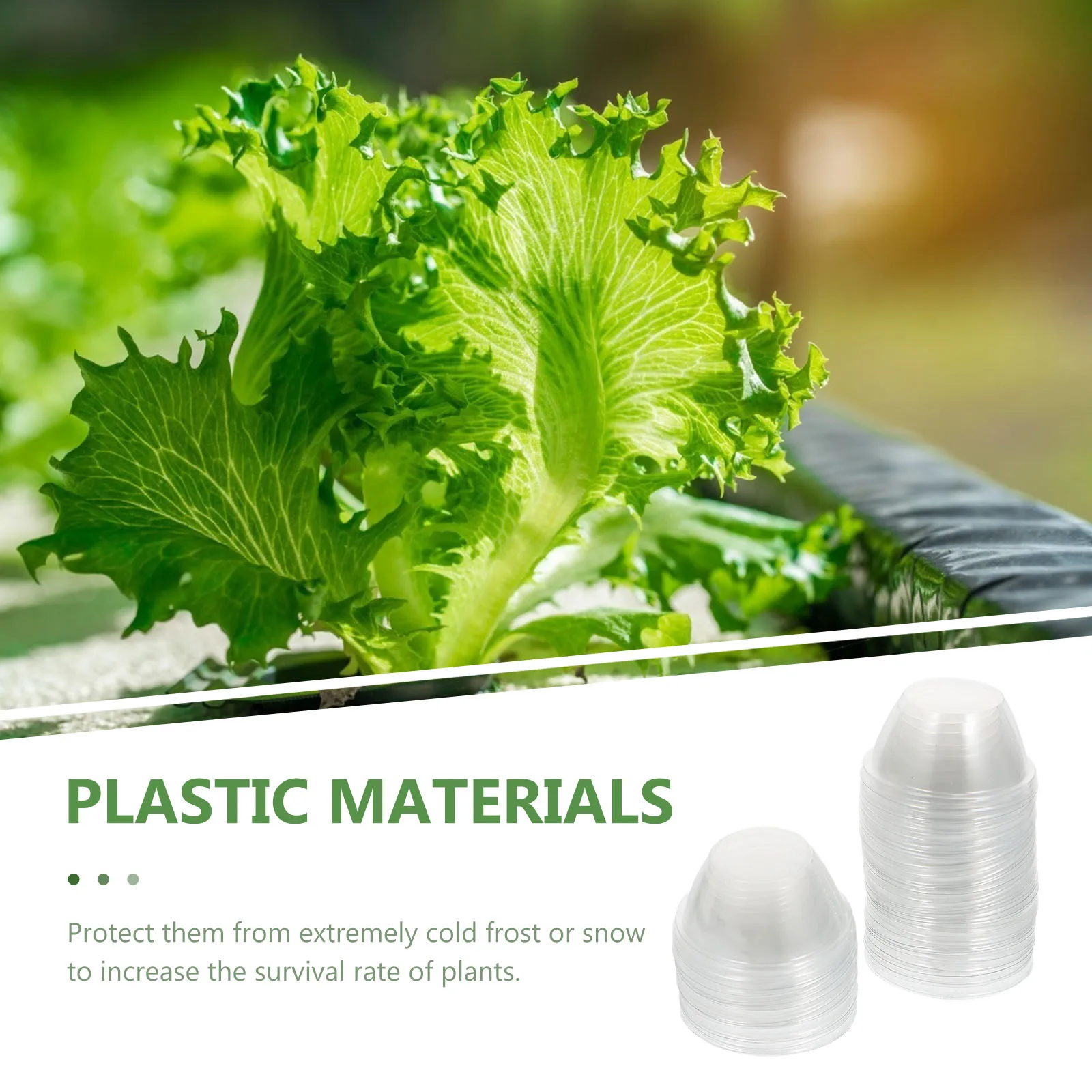 

50pcs Moisture Retention Transparent Covers For Plants Frost Resistance Heat Insulation Protection Botany Supplies Seedling