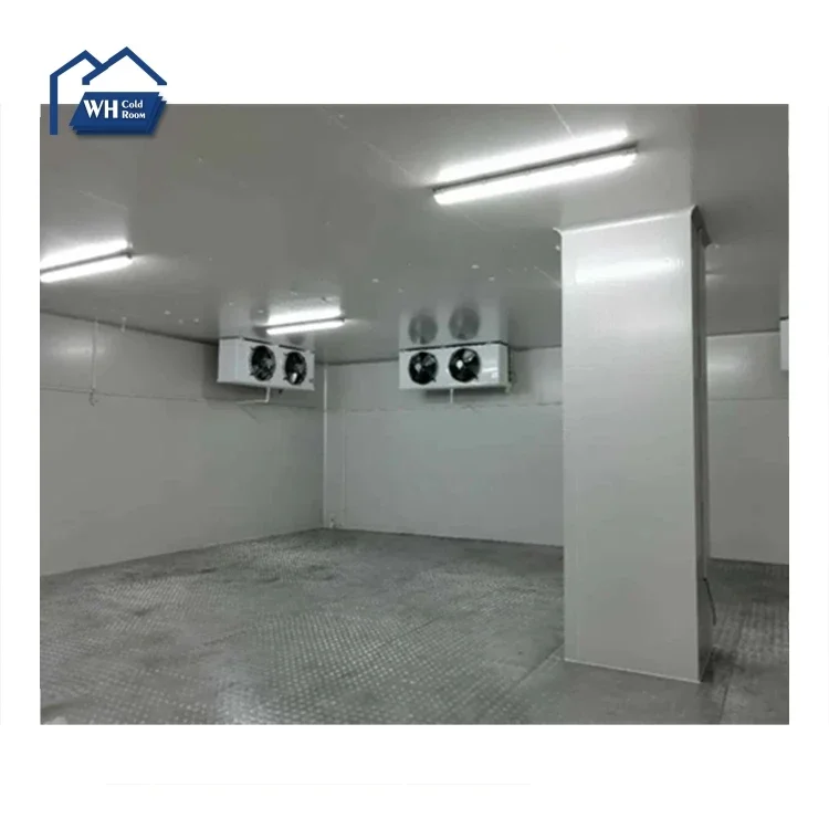 

Food processing flash quick rapid high-speed free-zing shock freezers blast equipment