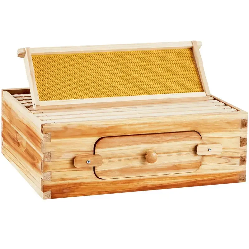Kit de démarrage pour ruche, boîte moyenne, en bois de sapin 100% naturel enduit de cire d'abeille, kit de ruche Langstroth avec 10 cadres et feuilles de fondation, fenêtres transparentes en acrylique pour abeilles
