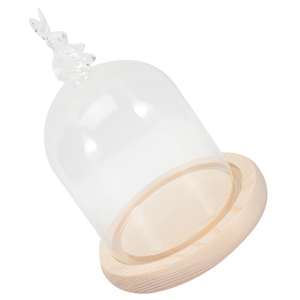 

1 set Delicate Glass Display Plate with Dome Wood Base Flower Holder Bell Jar for Preserved Flowers Transparent Cover Household