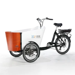 Shopping Cart Mini Electric Mobile Cargo Bike Adult Tricycle  Trike Carrying Kids Children Pets Dog Bakfiets