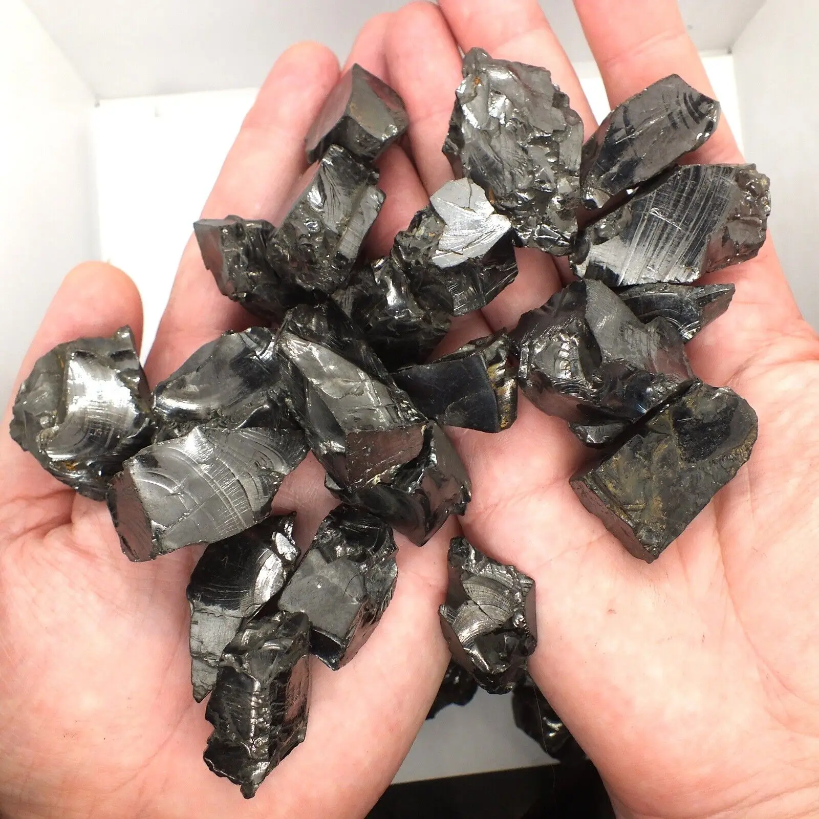 Shungite Elite Stones for Water Purification, 25 g of Silvery Shine Raw Elite Noble Shungite Detoxification Stones for Water Fil