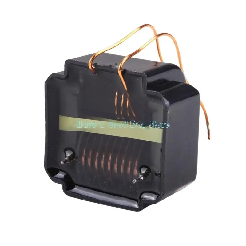 462D High Frequency 100W 20KV Stepping Up High Frequency Ignition Coil Ozonosphere Generator Energy Saving