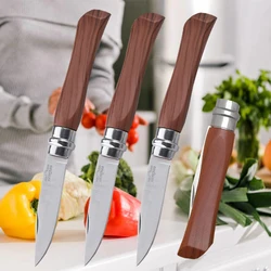 High Hardness Stainless Steel Folding Fruit Knife Household Vegetable Slicing Knife Kitchen Folding Portable Paring Knife