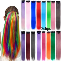 Extensions de Cheveux Raides Arc-en-ciel pour Fille, 2 Clips, Postiche Synthétique Colorée, Faux réinitialisation