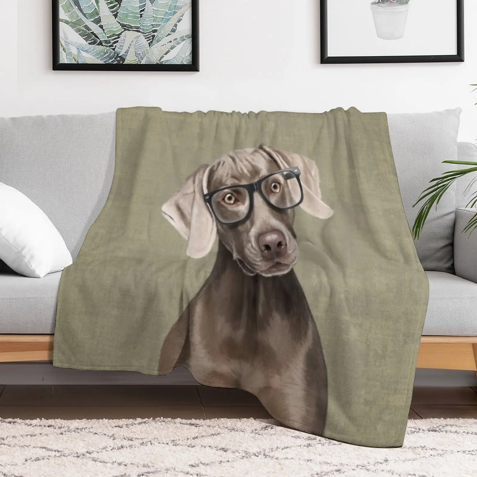 Mr Weimaraner Throw Blanket Blankets Sofas Of Decoration funny gift Blankets