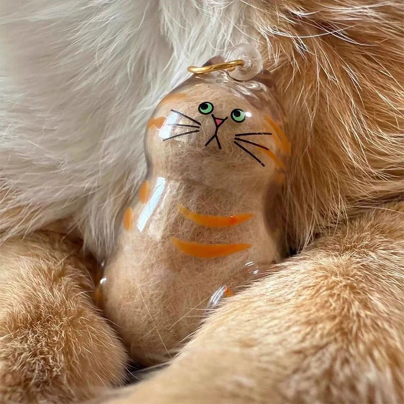 2 шт., прозрачная коробка для хранения из кошачьего меха, кулон, капсула из кошачьей шерсти, памятная коллекция, сумка, подвеска, брелок, аксессуары для кошек
