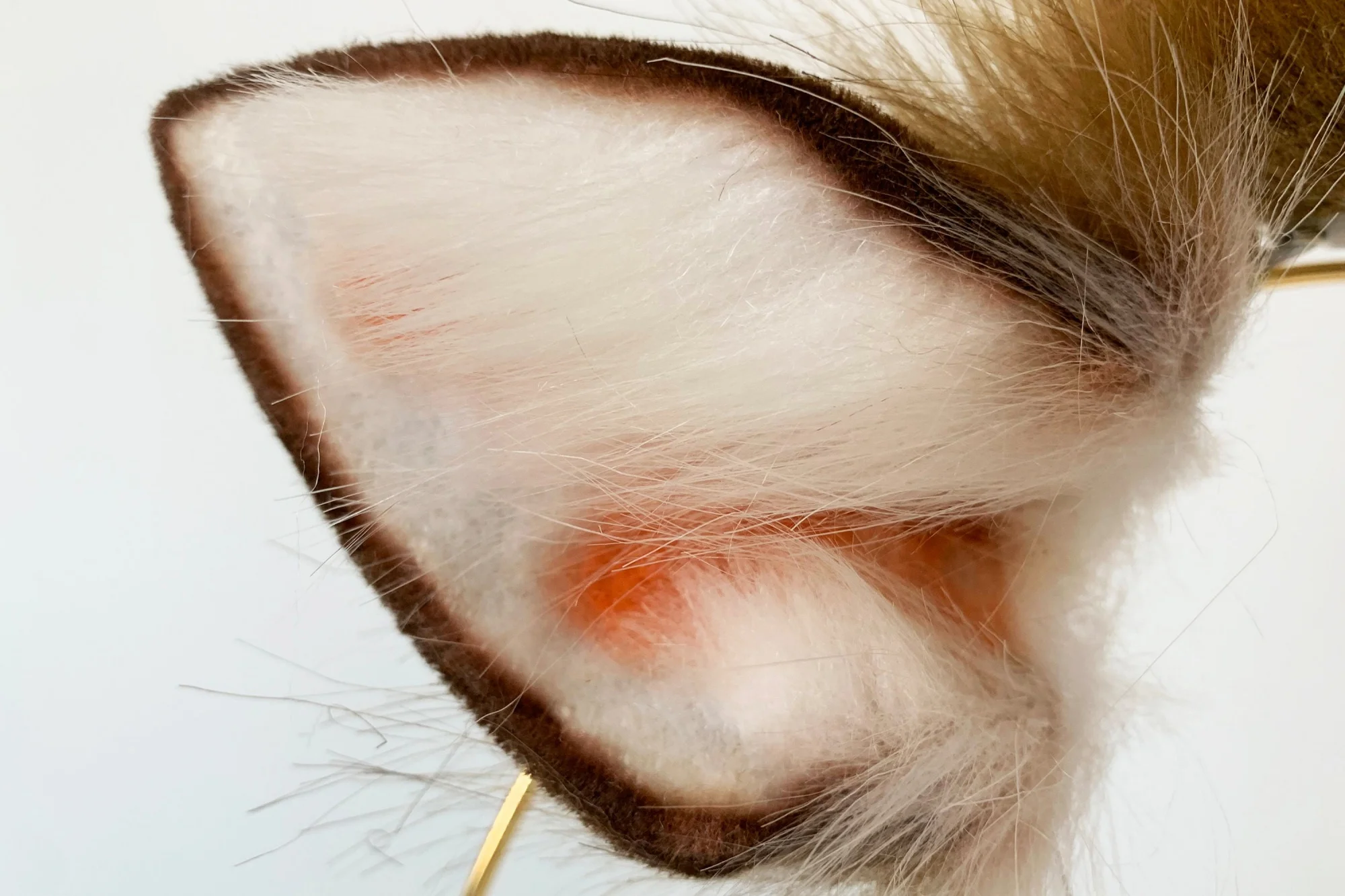 Cute brown deer ears and tail set, cosplay costume, animal ears headband, faux fur tail, Halloween accessories, anime convention 3