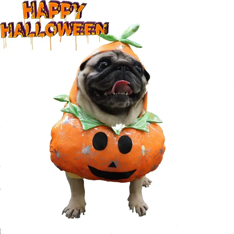 

Halloween Clothes for Dog and Cat, Funny Pumpkin Shape, Grooming and Standing Costumes