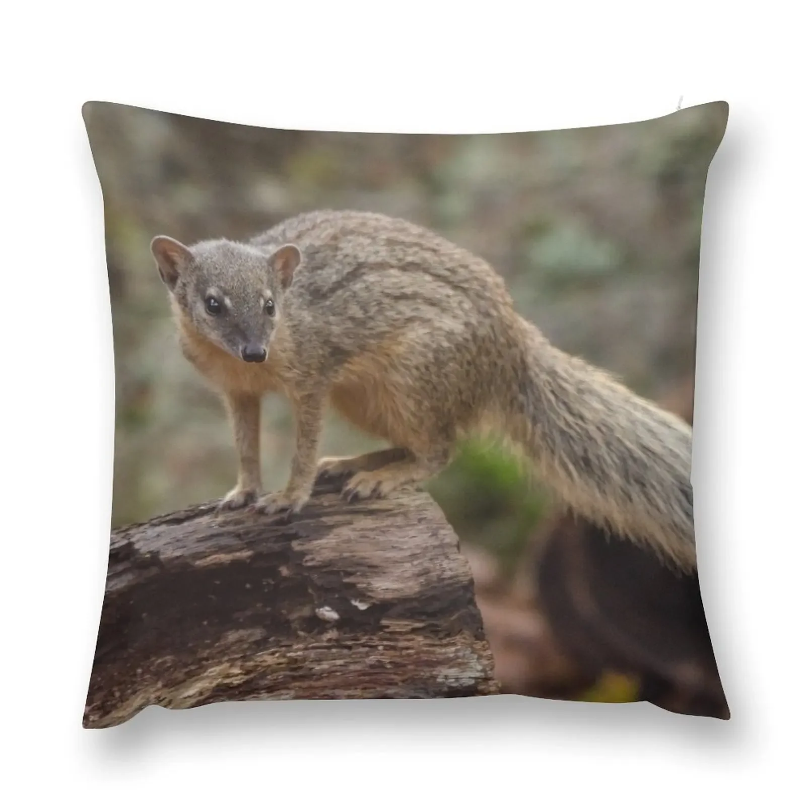 Bokiboky posing long tail Throw Pillow Throw Pillow Covers Cushions For Children pillow