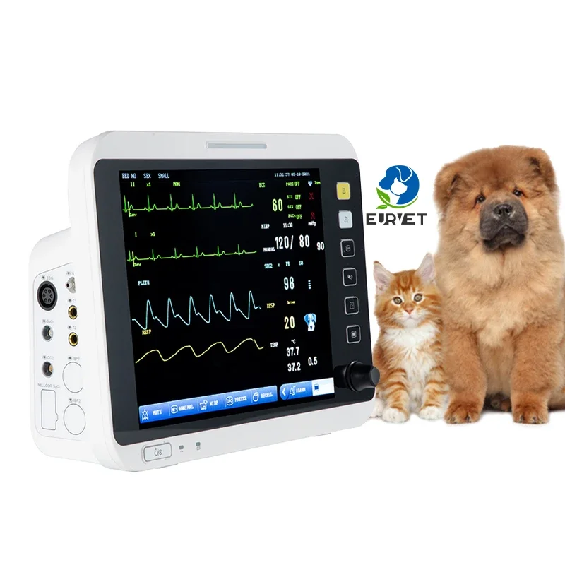 Eur Vet Veterinary …