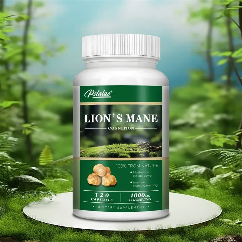 

Lions Mane - Enhance Brain Memory, Concentration, Immunity and Relieve Stress