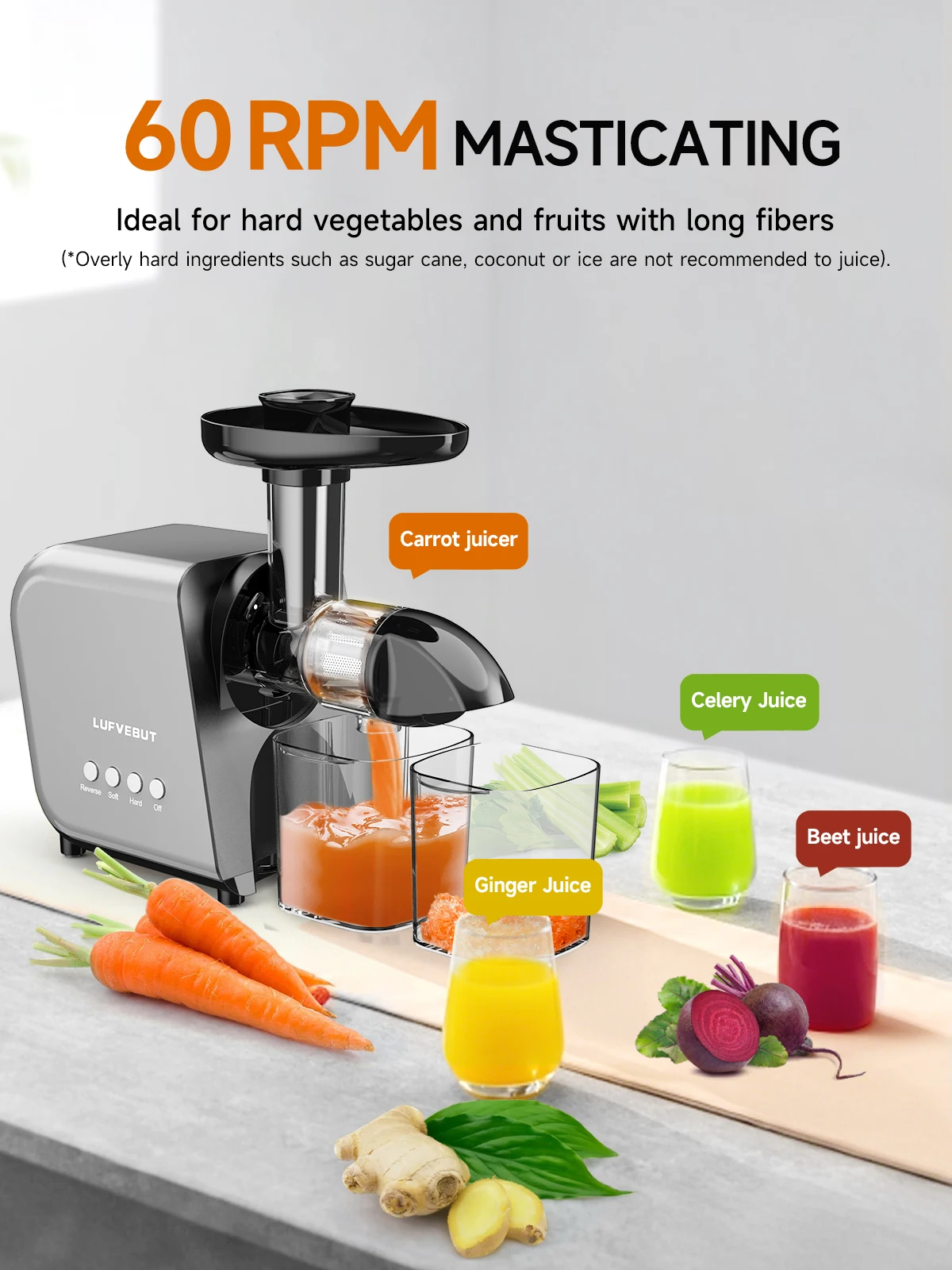 250W Slow Cold Press Fruit Juice Extractor, Anti-jam Reverse, Easy Clean, BPA-Free Quiet Household Vegetable Juicer