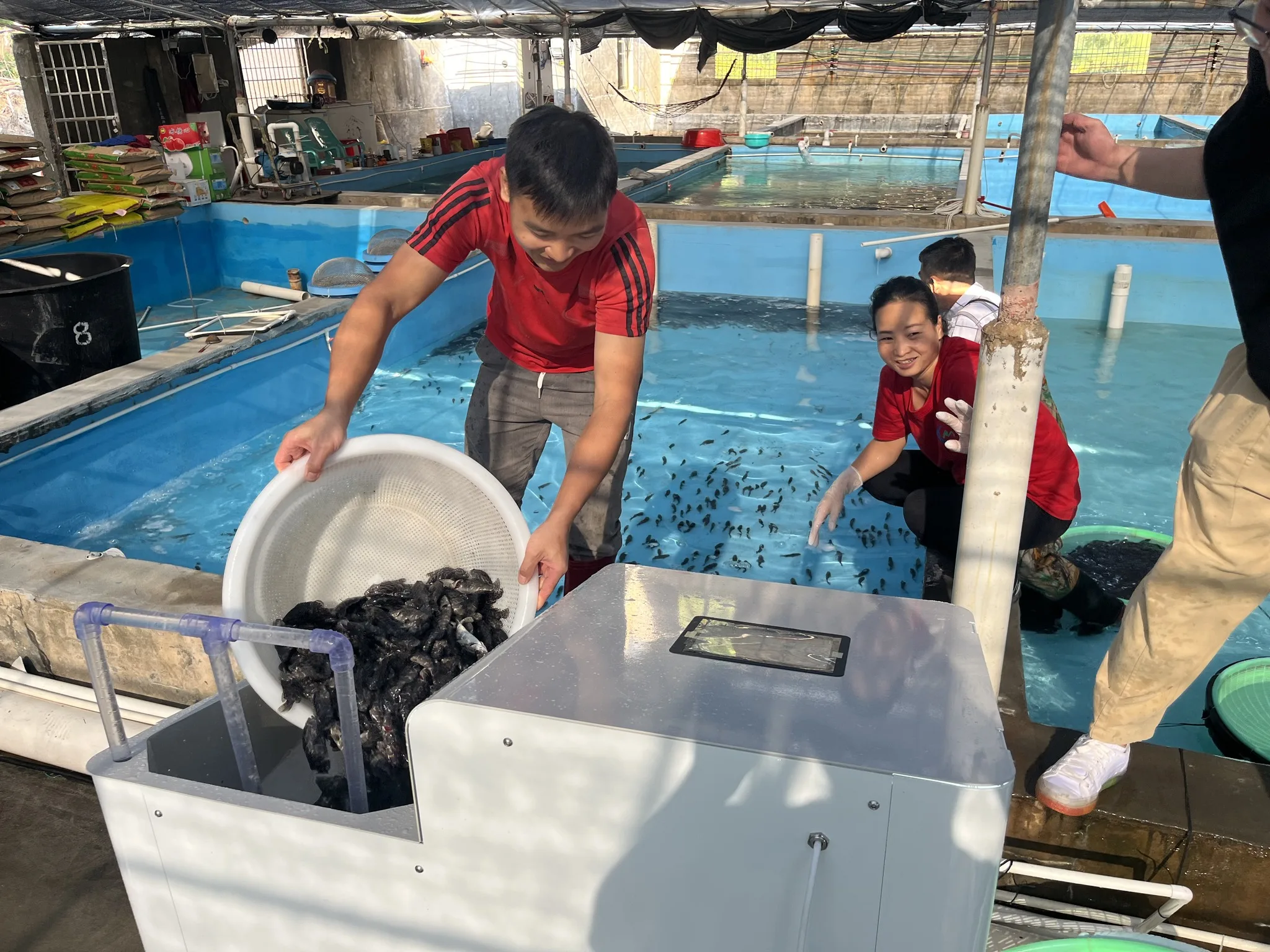 Mini Fish Fry Counting Machine Aquaculture Equipment Efficient Fish Fingerling Counter