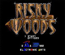 Risky Woods 16bit MD Game Card For Sega Mega Drive For Genesis System