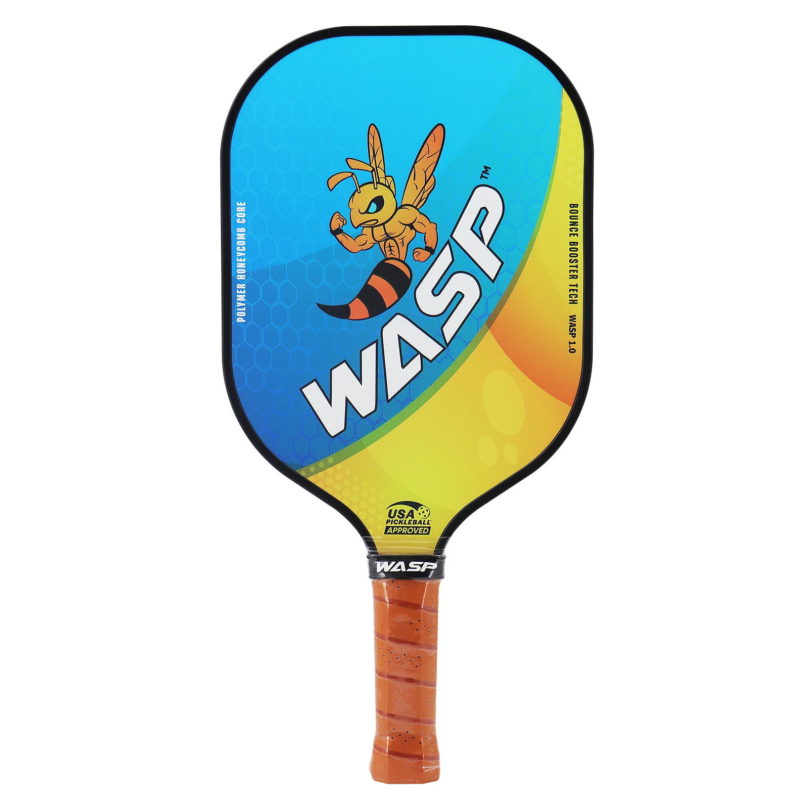 Ensemble de raquettes de pickl - Pickleball Paddle avis et prix