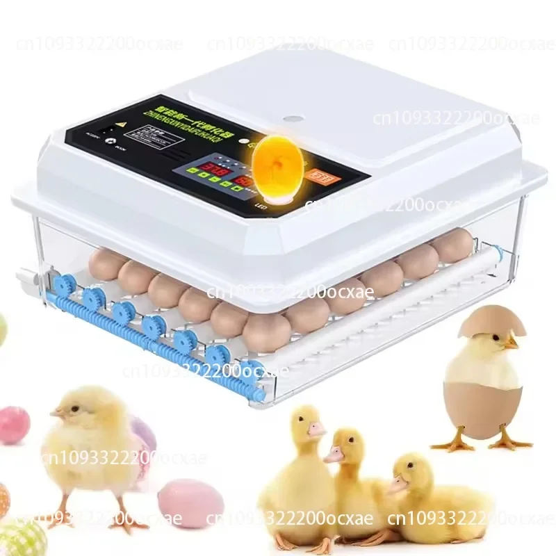 Household Automatic Temperature Control Multi-functional Solar Mini Poultry Incubator