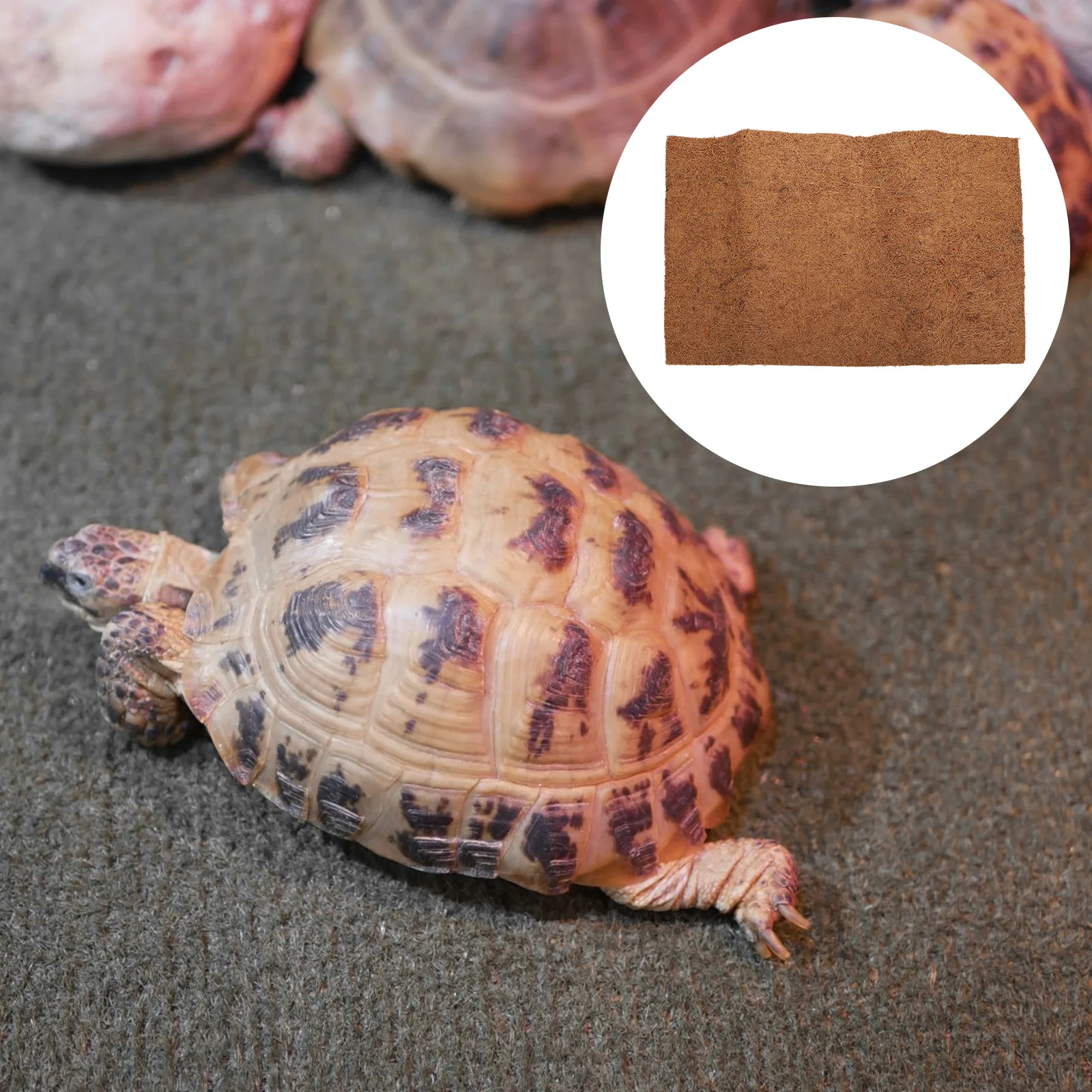 

Reptile Bed Mat 60X40Cm Natural Coconut Fiber Breathable Washable Anti- Terrarium Bedding Reptile Supplies Pet Box Liner