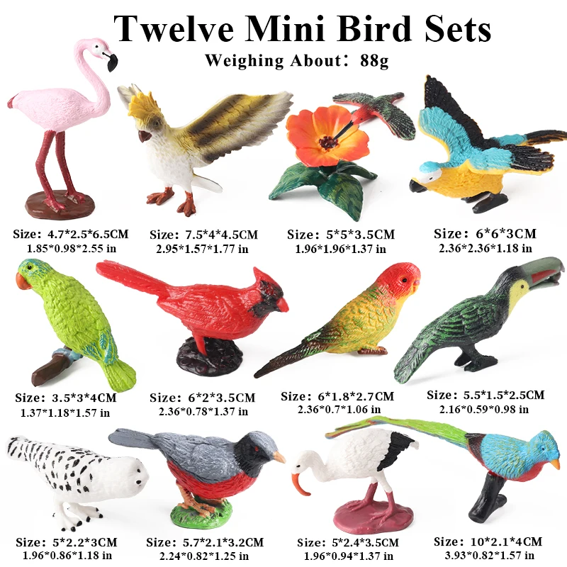 Oenux Bird Animal Parrot Flamingos Hummingbird Owl Magpie Model Action Figure Figurines Miniature Education Kid Toy Cake Toppers
